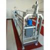 Hot Sale Electric ZLP800 Rope Suspended Platform in Vietnam #1 small image
