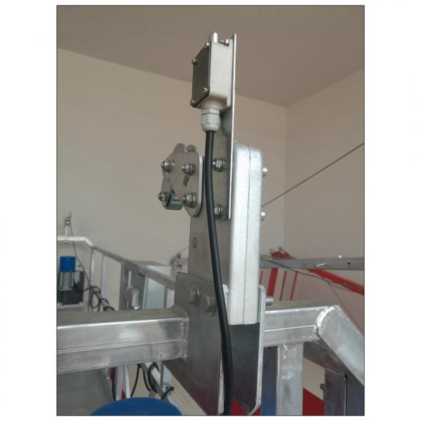 High quality China LS30 anti-tilting safety lock for suspended platform #1 image